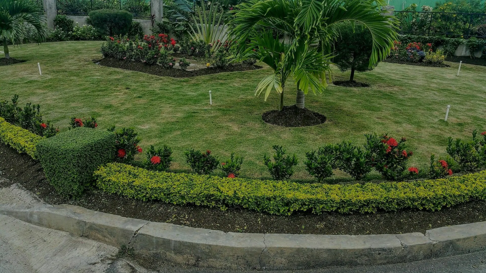 Fern Court Apartment With Oceanic View III Saint Annʼs Bay 0*,  Τζαμάικα